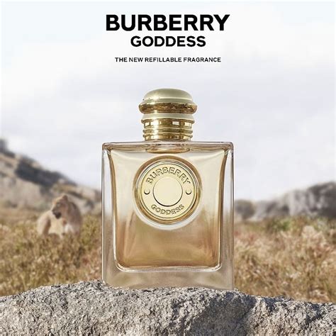 burberry goddess fragrantica|burberry goddess chemist warehouse.